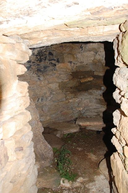 capitelle-papillon-13f.JPG