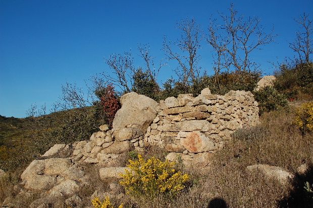 capitelle-serrat-dels-maillols.JPG