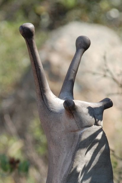 art-nature-2011-esc01.JPG