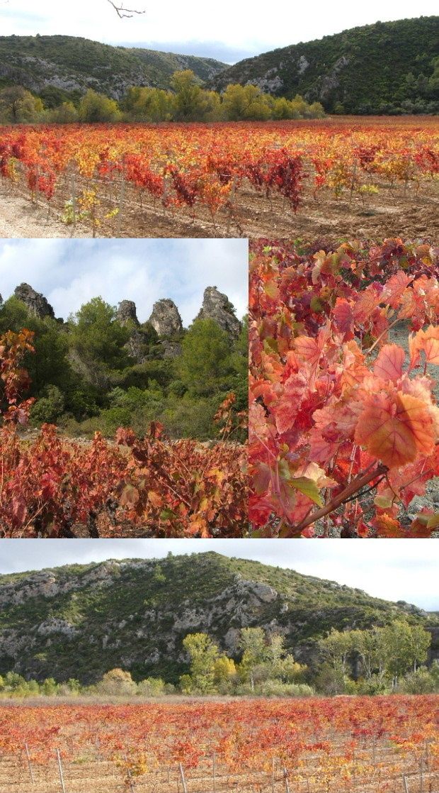 balade en suivant le verdouble en 09