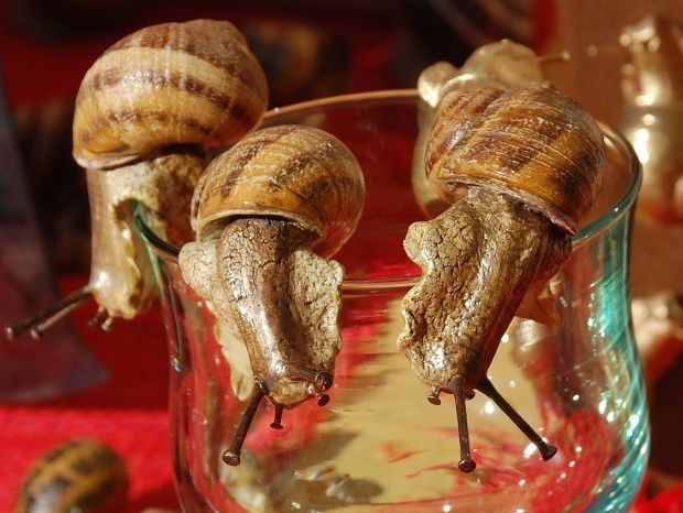 escargot en fete 2011 a