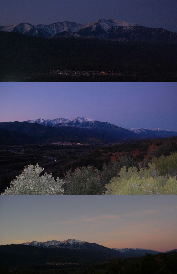 le canigou 4fev11
