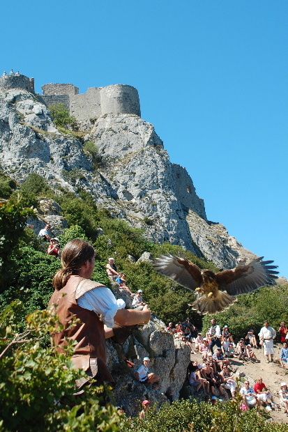 aigle-peyrepertuse-11-b.JPG