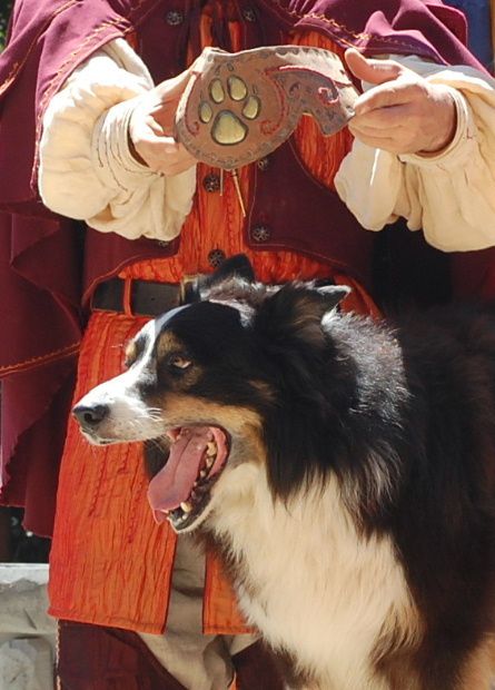 dog-trainer-2011-kd.JPG