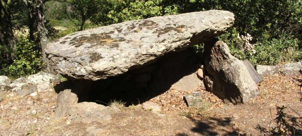 trilla-dans-le-labyrinthe.jpg