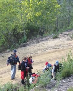 2008-01-31-Tanneron-013.JPG