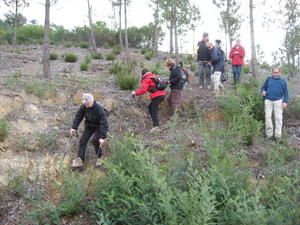 2008-01-31-Tanneron-015.JPG