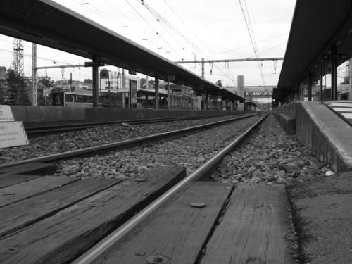 030-copie-1.JPG