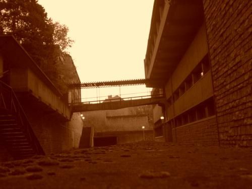 033-copie-1.JPG