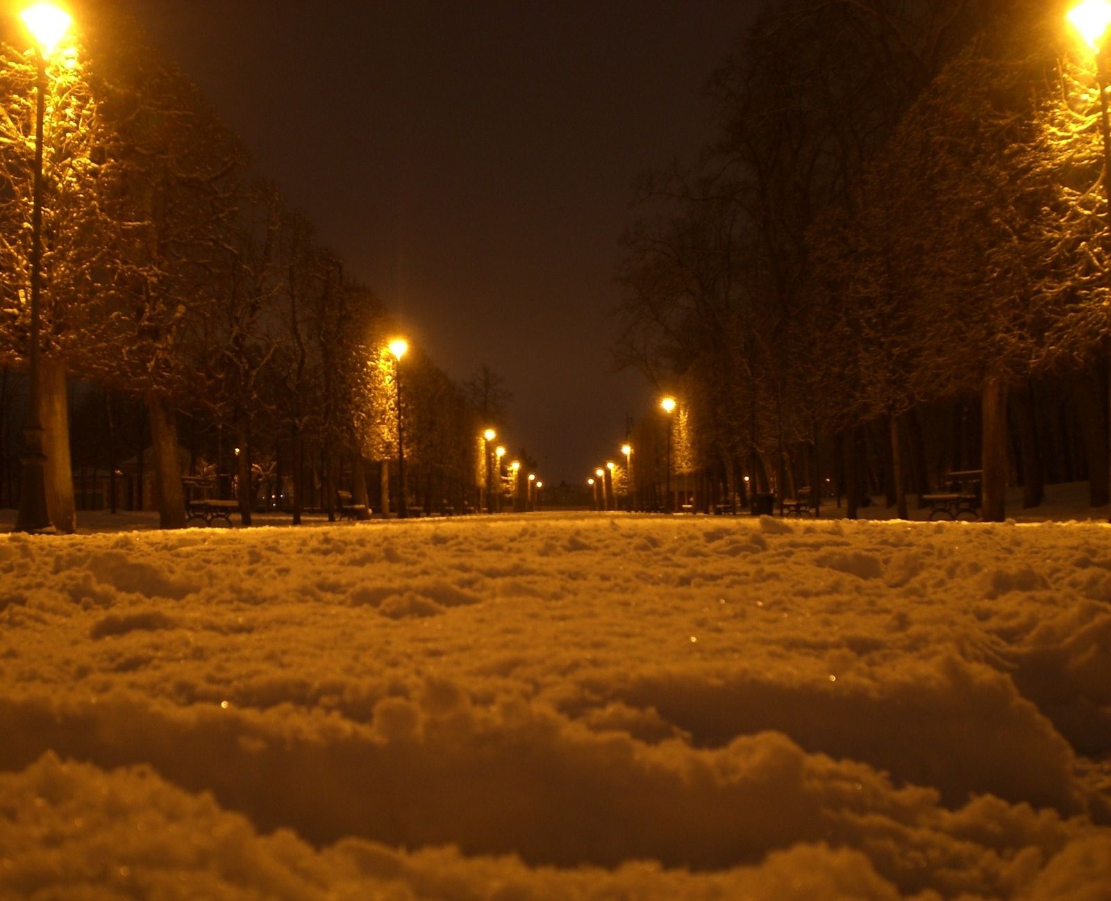 Allee-Blossac-a-terre.JPG