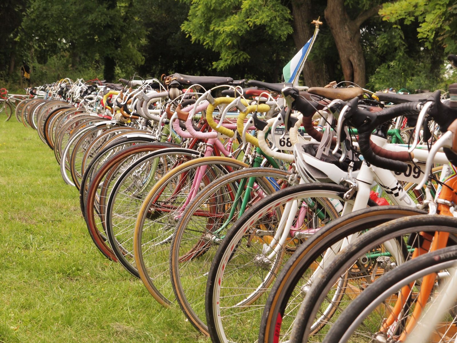 Alignement-de-velo-anjou-velo-vintage.JPG