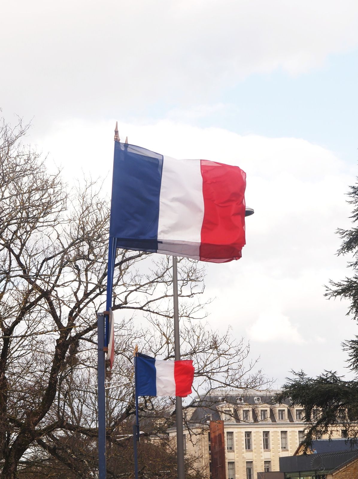 Drapeaux français
