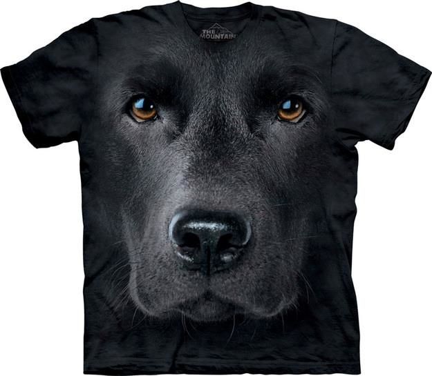 canin.jpeg