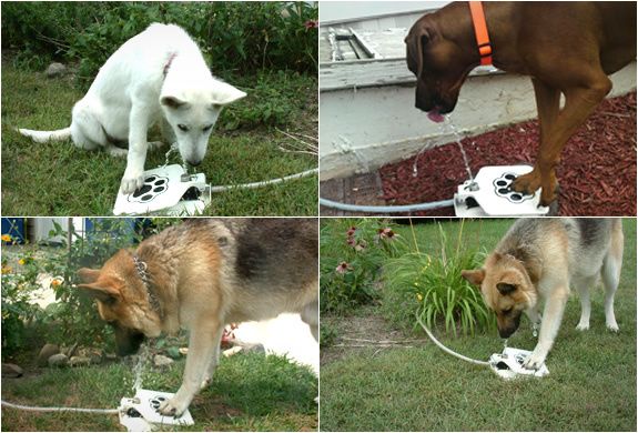 12doggie-fountain.com-3.jpeg