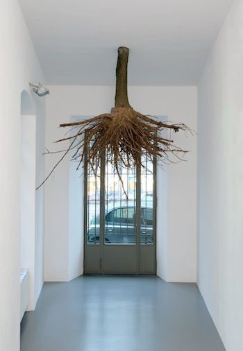A-tree-with-roots--2010--by-Henrik-Hakansson.jpg
