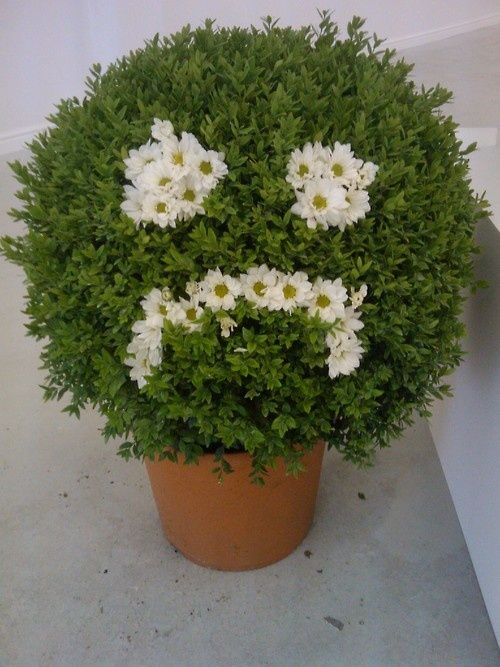 tumblr_m5lwdfsSVh1qzxcvio1_500.jpg