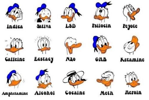 donald.jpeg