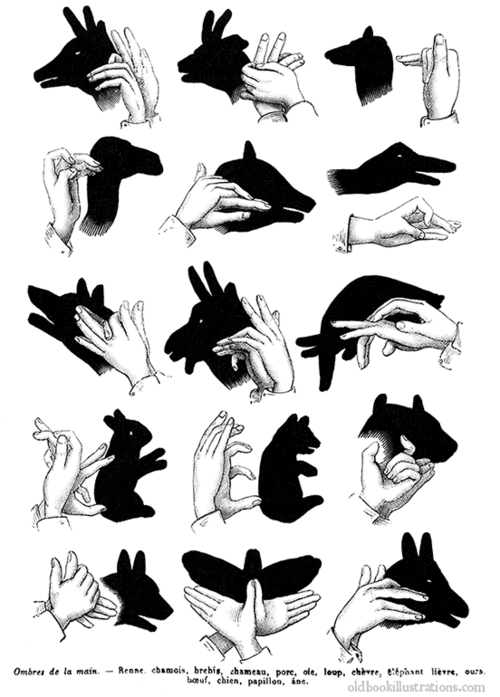 hand-shadows.gif