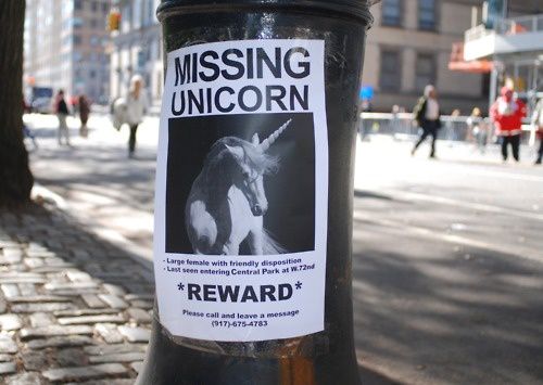 37search-for-missing-unicorn.jpeg