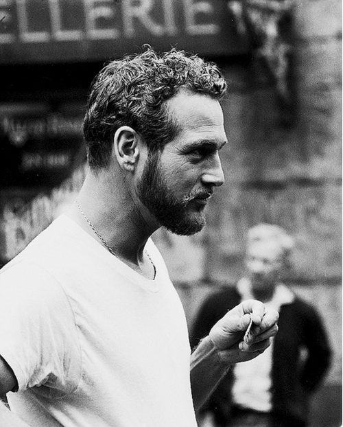 its-bearded-newman-day.png