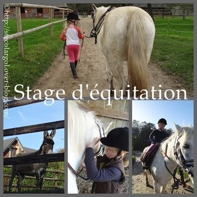 equitation.jpg