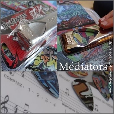 FAIRE-ses-mediators.jpg