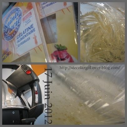 TUTO-IMPRIMER-SUR-GELATINE.jpg