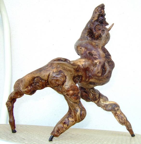 cheval-X-800.jpg