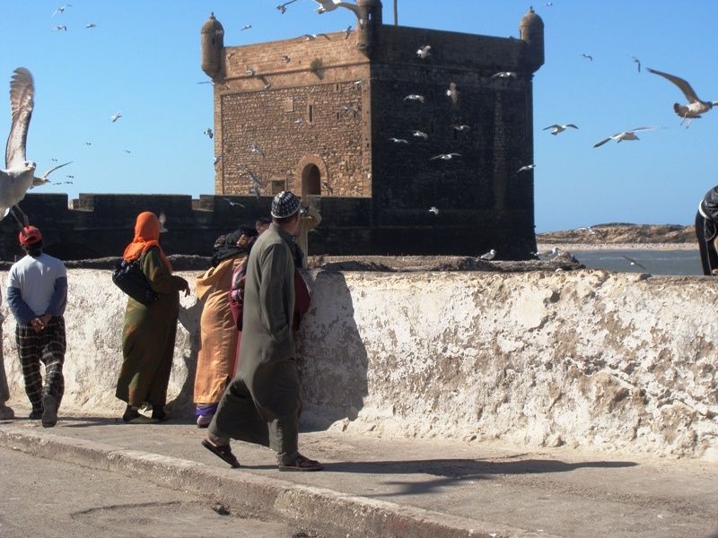 Nov10 Essaouira 02