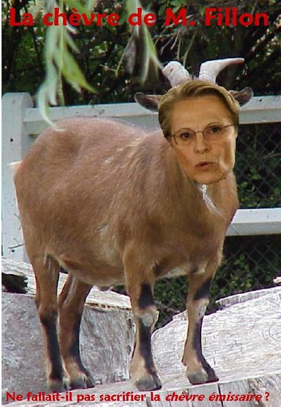 Chevre MAM2