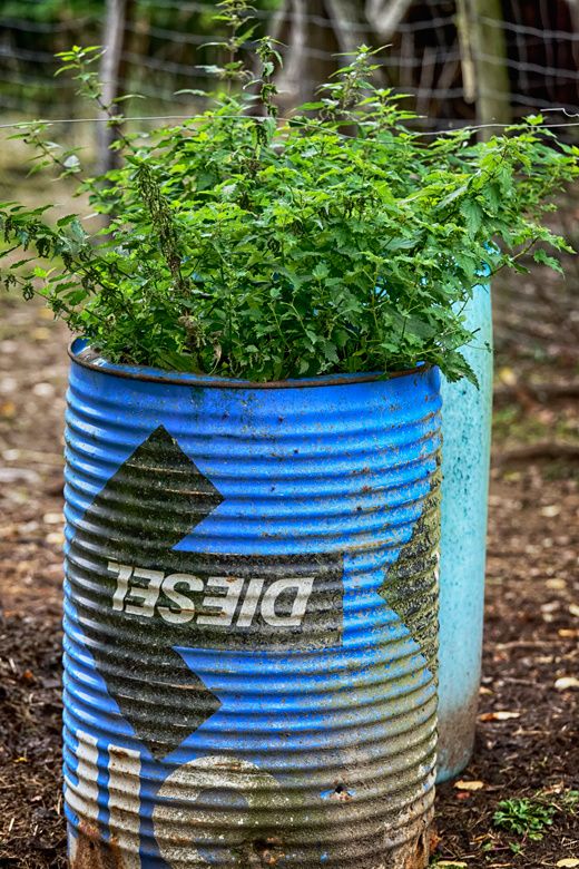 Pbase MG 1706 DxO