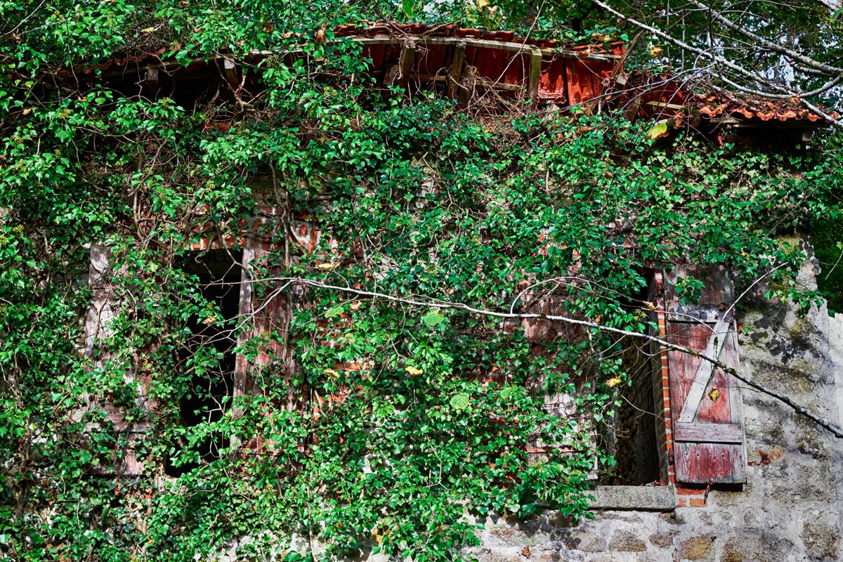 Pbase MG 1866 DxO