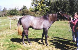 LAHOUAR----2-ans-en-Octobre-2001.jpg