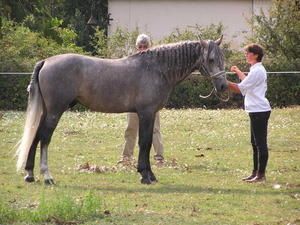 LAHOUAR-avec-Y-Richardier-Sept-05.jpg
