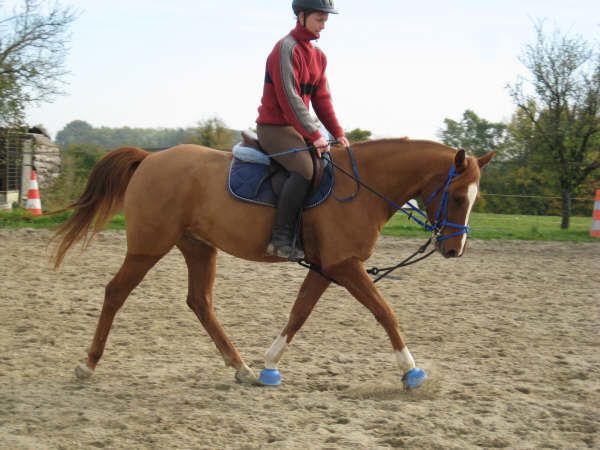 karym-octobre-2008-au-boulot.jpg