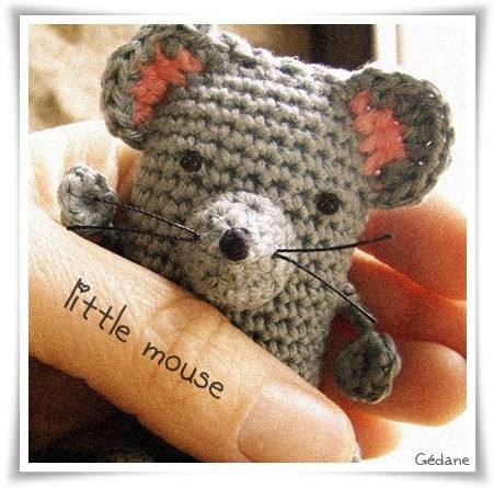 souris.jpg