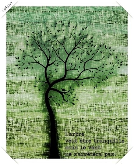 arbre.jpg