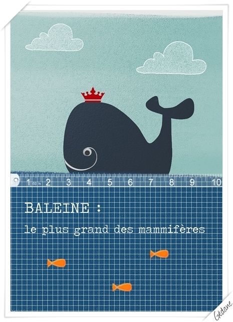 Copie-de-baleine2.jpg