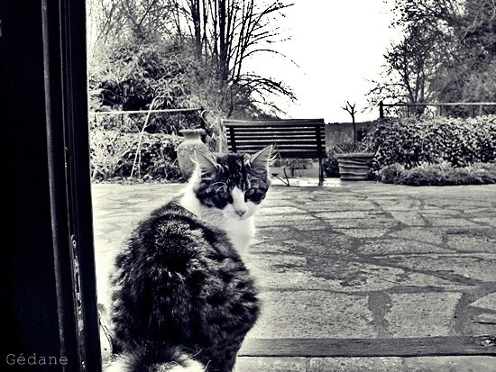 mimie-a-la-porte.JPG