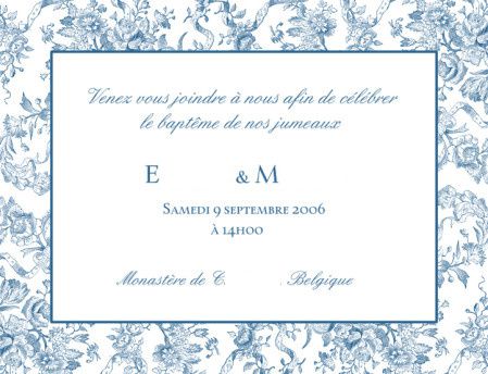 vistaprint-faire part-garcon-jumeaux toile jouy bleu copie
