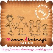 logo blog maman demenage lille jumeaux enfant bebe 180