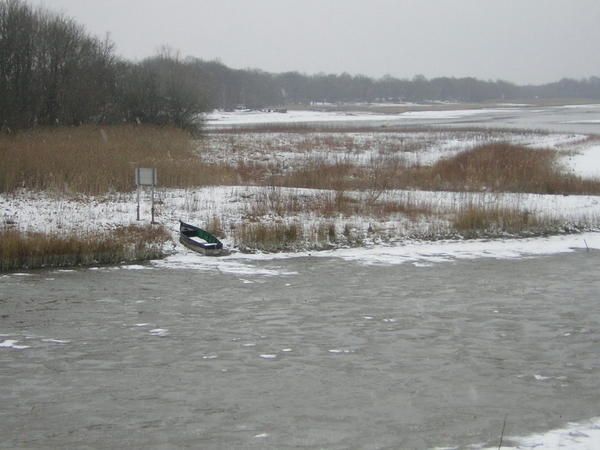 Etang-du-puits-f-vrier-2005--1.jpg