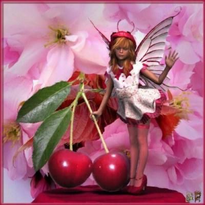 fee-cerise.jpg