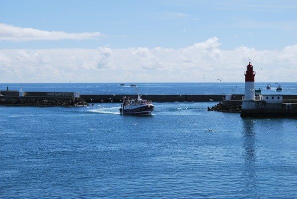 DSC_0264.jpg