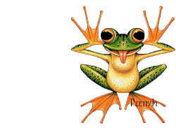 coucou-grenouille.gif