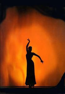 flamenco.jpg
