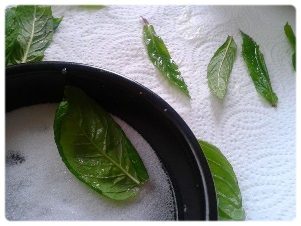 Basilic-cristallises.jpg
