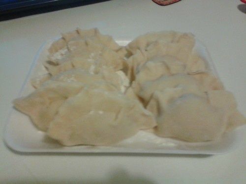 Gyoza japonais 4