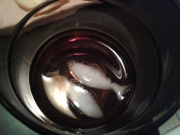 Poissons-glaces.jpg