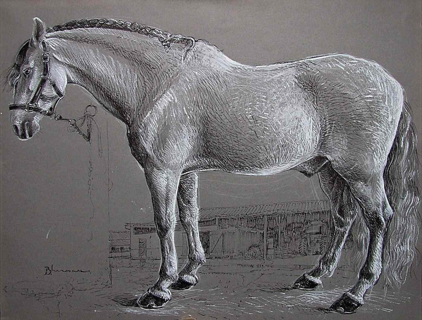 Kiko, cheval espagnol Technique mixte 50X65 nov-copie-3